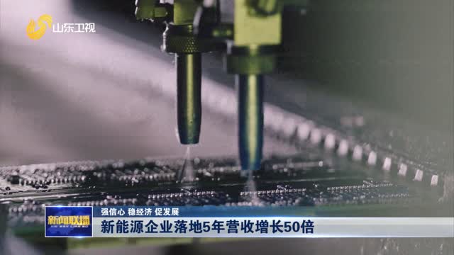 新能源企業落地5年營收增長50倍【強信心 穩經濟 促發展】