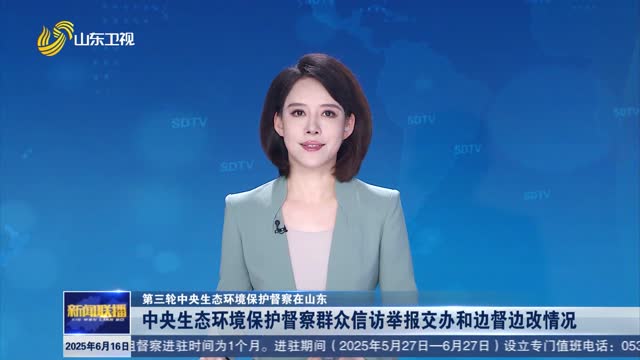 中央生態環境保護督察群眾信訪舉報交辦和邊督邊改情況【第三輪中央生態環境保護督察在山東】