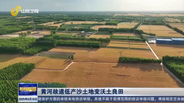 黃河故道低產沙土地變沃土良田【“三夏”一線】