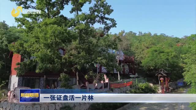一張證盤活一片林【當好全面深化改革排頭兵】