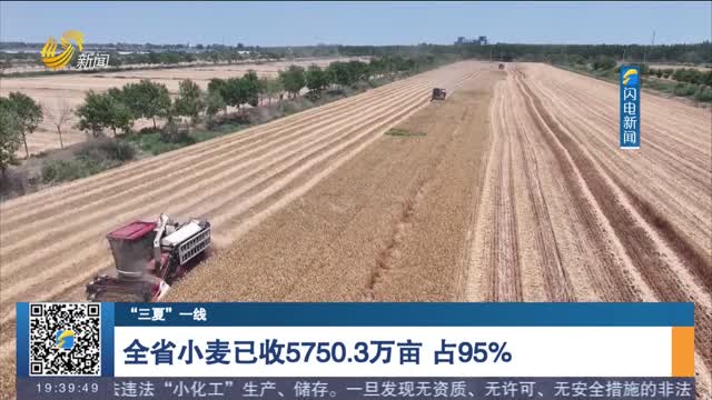 【“三夏”一线】全省小麦已收5750.3万亩 占95%