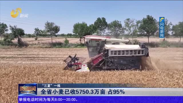 【“三夏”一线】全省小麦已收5750.3万亩 占95%