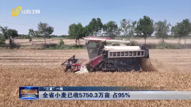 【“三夏”一线】全省小麦已收5750.3万亩 占95%