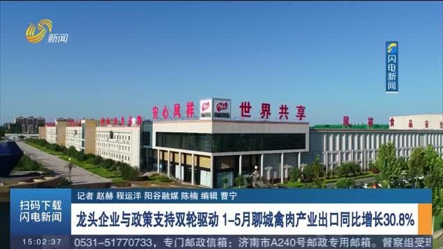 龙头企业与政策支持双轮驱动 1-5月份聊城禽肉产业出口同比增长30.8%