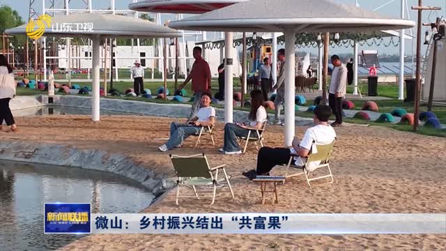 微山：乡村振兴结出“共富果”