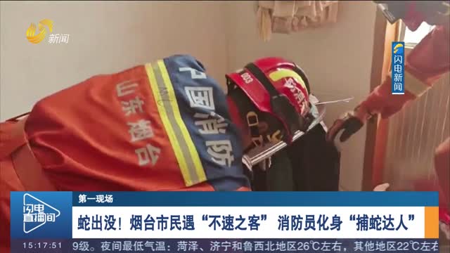 【第一現場】蛇出沒！煙臺市民遇“不速之客” 消防員化身“捕蛇達人”