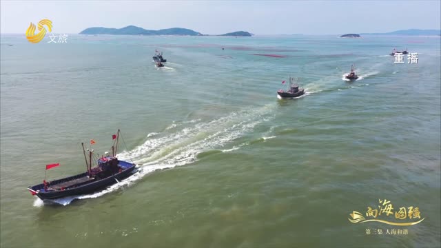 2025年06月19日《向海图强》第三集：人海和谐