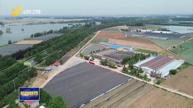 濰坊市峽山區(qū)：牽手北大農(nóng)研院 為農(nóng)業(yè)插上科技翅膀