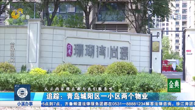 青岛城阳：一小区俩物业 为何迟迟难交接？
