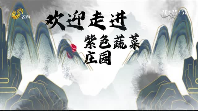價高物美的紫色蔬菜