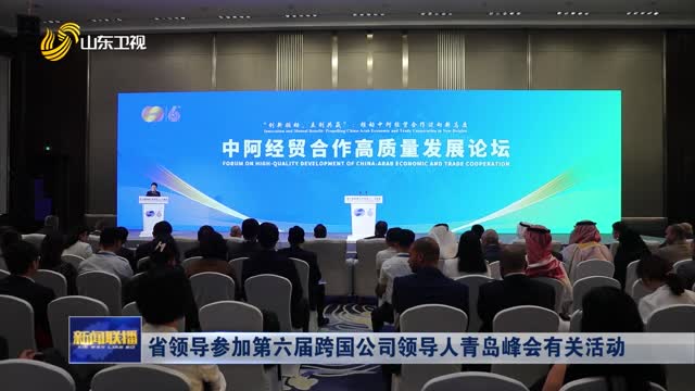 省领导参加第六届跨国公司领导人青岛峰会有关活动