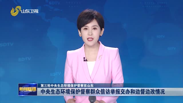 中央生态环境保护督察群众信访举报交办和边督边改情况【第三轮中央生态环境保护督察在山东】