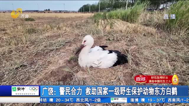 【点赞山东人】广饶：警民合力 救助国家一级野生保护动物东方白鹳