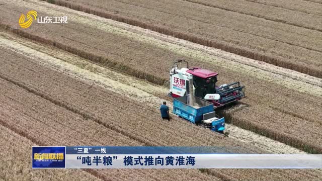 “吨半粮”模式推向黄淮海【“三夏”一线】