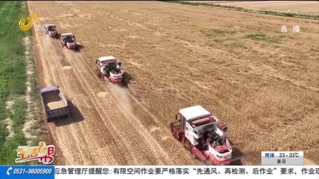 昔日盐碱地 变身“新粮仓”