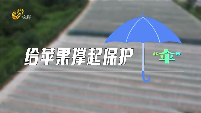 給蘋果撐起保護“傘”