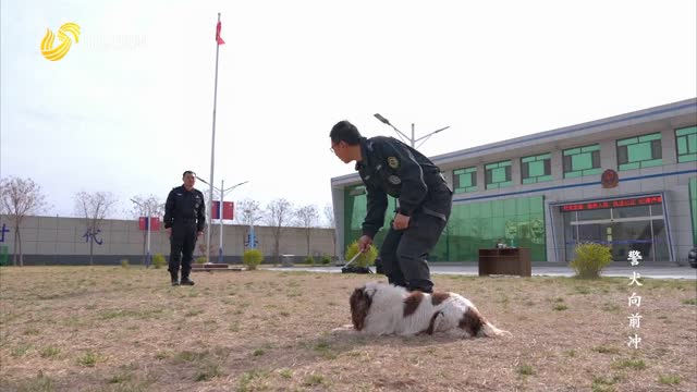 20250623《此时此刻》：警犬向前冲