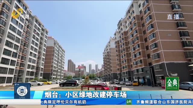 煙臺：小區綠化改建停車場 爭議如何解決？