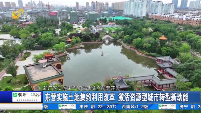东营实施土地集约利用改革 激活资源型城市转型新动能