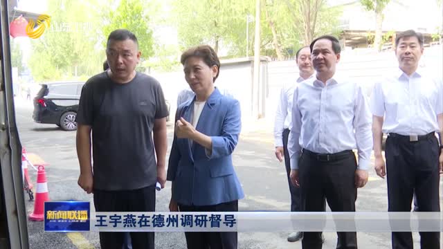 王宇燕在德州调研督导