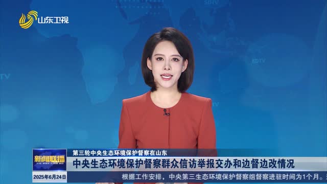 中央生态环境保护督察群众信访举报交办和边督边改情况【第三轮中央生态环境保护督察在山东】