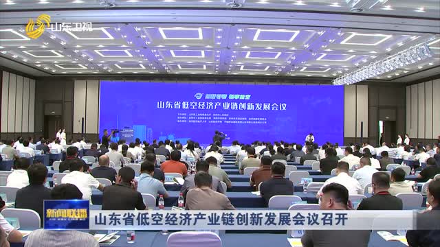 山东省低空经济产业链创新发展会议召开