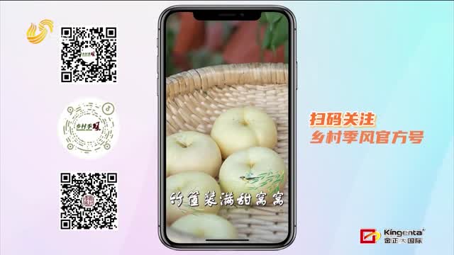 【蒙陰?中國(guó)桃鄉(xiāng) 2025蜜桃成熟季】新時(shí)代“新農(nóng)活” 蒙陰蜜桃飛出大山