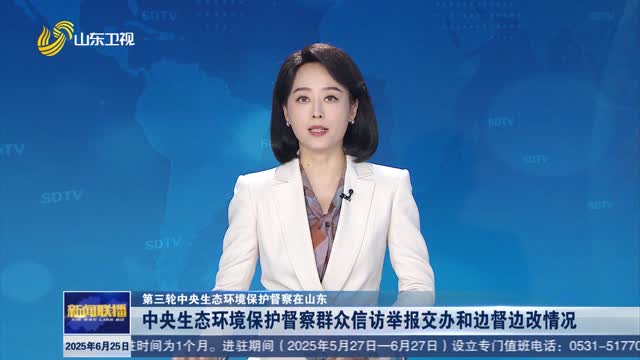 中央生态环境保护督察群众信访举报交办和边督边改情况【第三轮中央生态环境保护督察在山东】