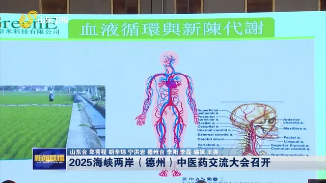 2025海峽兩岸（德州）中醫藥交流大會召開