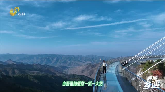 【意茹·鄉遇】山谷情 湖海戀 一起過(guò)夏天