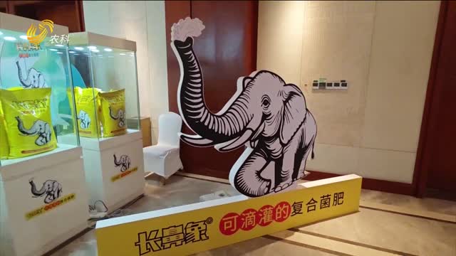 佐田氏“新力作”：“黑灯工厂”和“长鼻象”