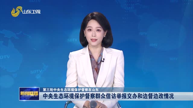 中央生態環境保護督察群眾信訪舉報交辦和邊督邊改情況【第三輪中央生態環境保護督察在山東】