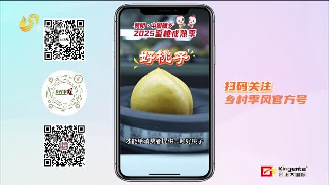 【蒙陰?中國桃鄉 2025蜜桃成熟季】挑出一個(gè)好桃子 總共分幾步