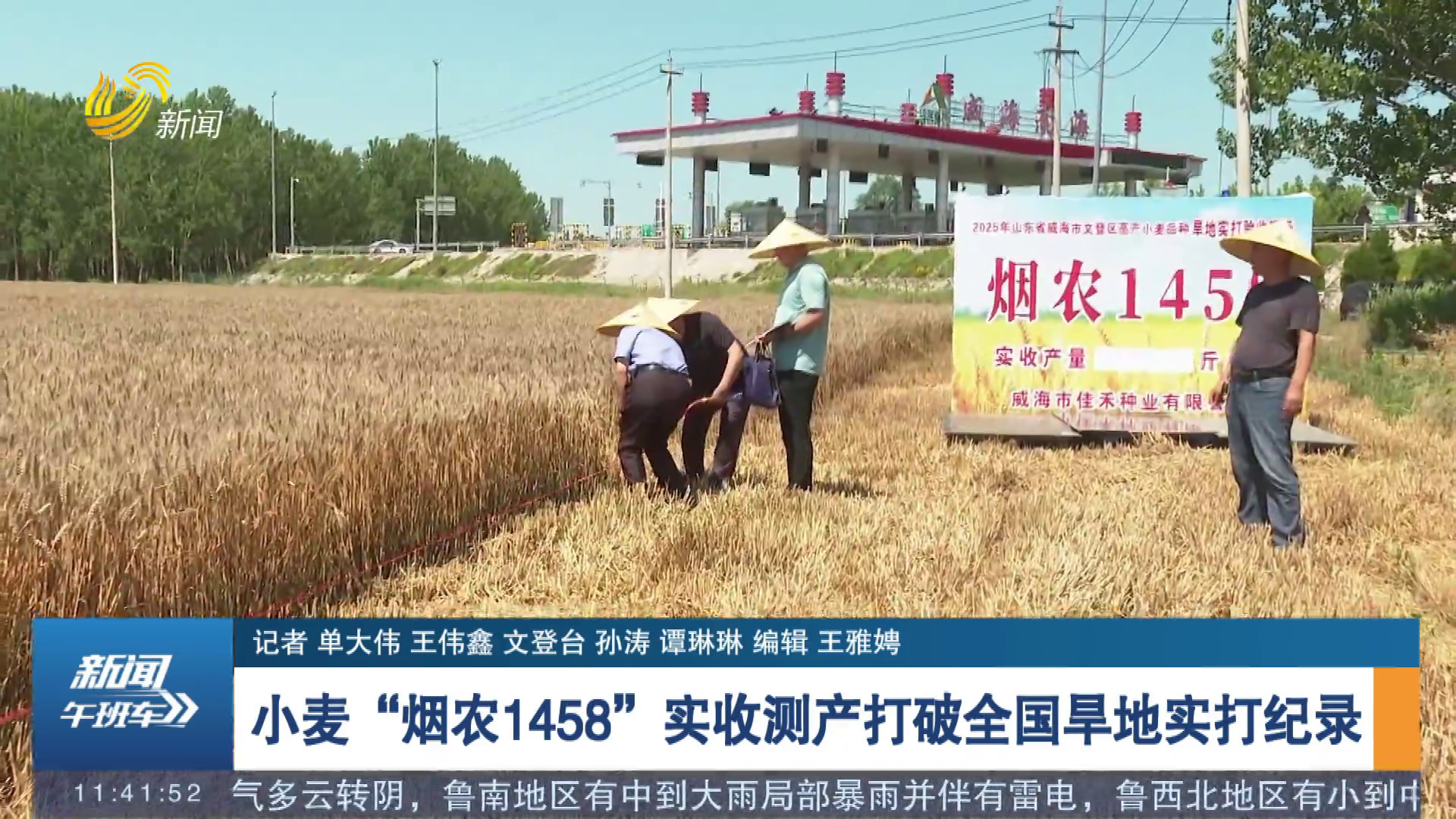 小麥“煙農1458”實收測產打破全國旱地實打紀錄
