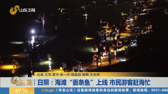 日照：海滩“面条鱼”上线 市民游客赶海忙