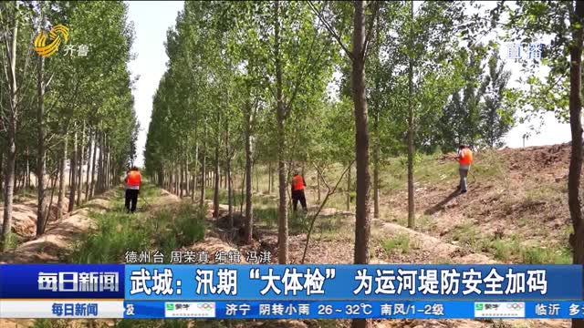 武城：汛期“大体检”为运河堤防安全加码