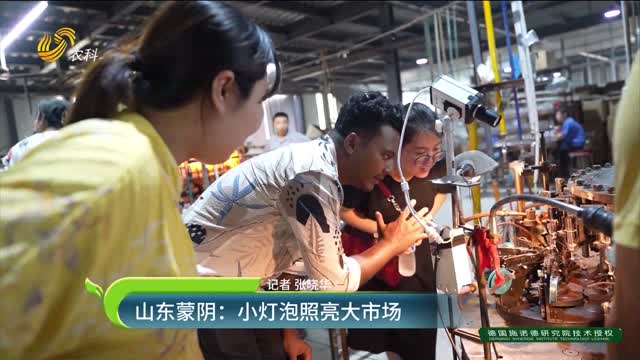 山東蒙陰：小燈泡照亮大市場(chǎng)