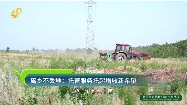 離鄉不丟地：托管服務(wù)托起增收新希望
