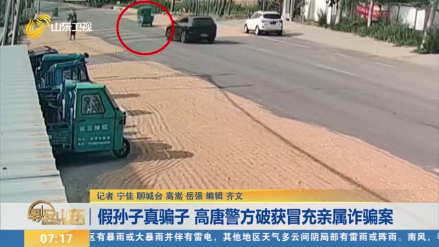 假孙子真骗子 高唐警方破获冒充亲属诈骗案