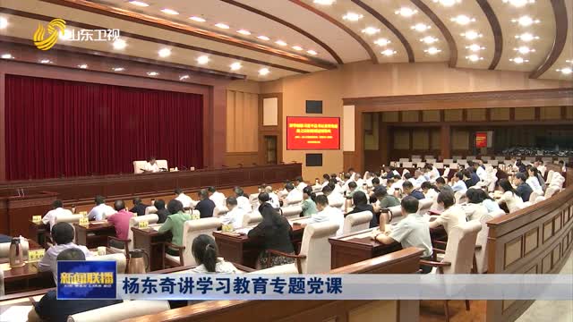 杨东奇讲学习教育专题党课