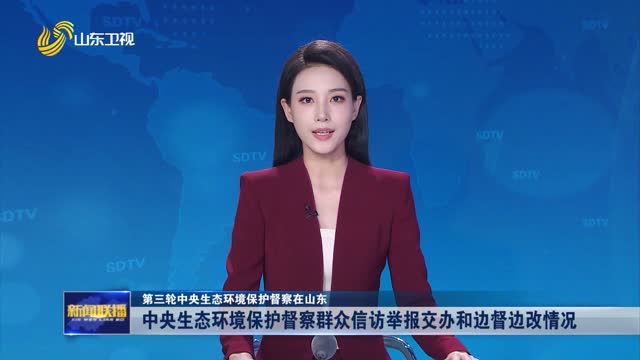 中央生态环境保护督察群众信访举报交办和边督边改情况【第三轮中央生态环境保护督察在山东】