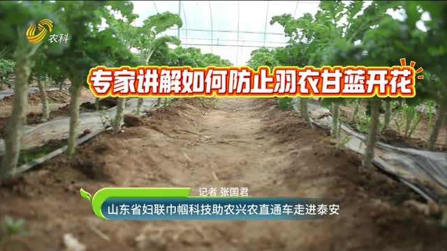 山東省婦聯巾幗科技助農興農直通車走進泰安