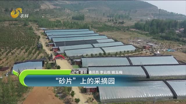 “砂片”上的采摘園