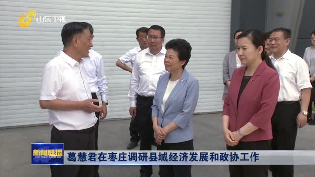 葛慧君在枣庄调研县域经济发展和政协工作