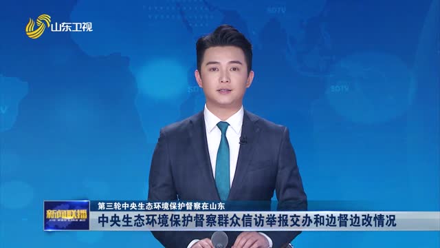 中央生态环境保护督察群众信访举报交办和边督边改情况【第三轮中央生态环境保护督察在山东】