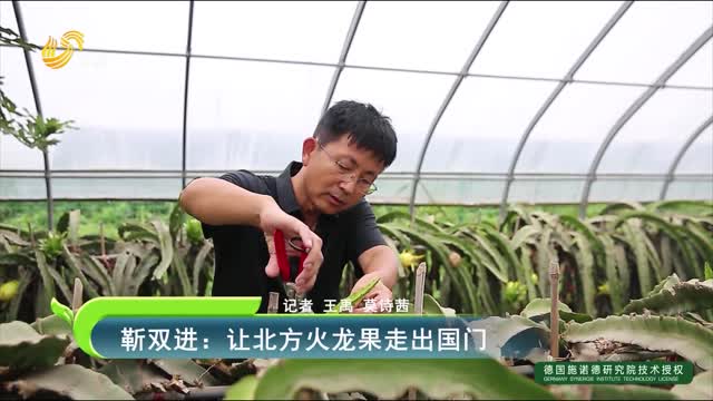 靳雙進：讓北方火龍果走出國門