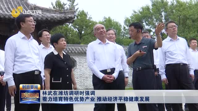 林武在潍坊调研时强调 着力培育特色优势产业 推动经济平稳健康发展