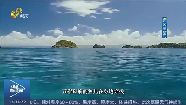 【夏日经济观察】暑气退退退 解锁济南夏日的N种清凉“魔法”
