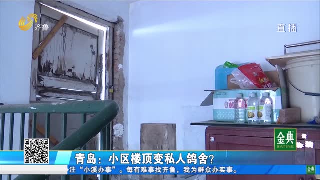 青島：小區(qū)樓頂變私人鴿舍？