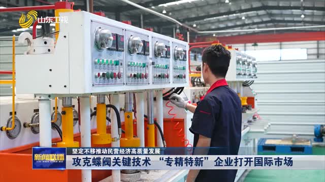 攻克蝶閥關(guān)鍵技術(shù) “專精特新”企業(yè)打開國際市場【堅定不移推動民營經(jīng)濟(jì)高質(zhì)量發(fā)展】